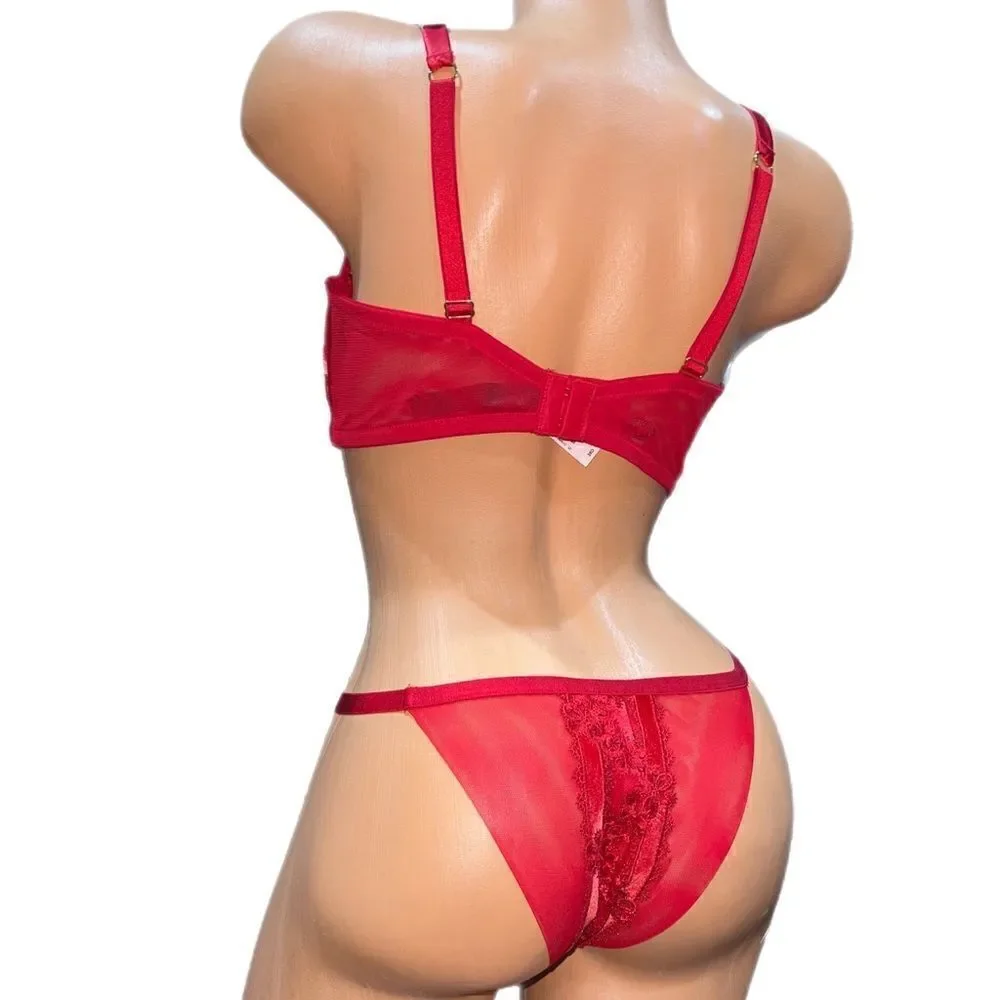 Victoria’s Secret LUXE Sexy Mesh Lace Velvet Unlined Demi bra & Brazilian Panty